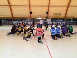 Hockey Raduno Empoli 2014 1